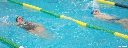 festival_delfins_09_079